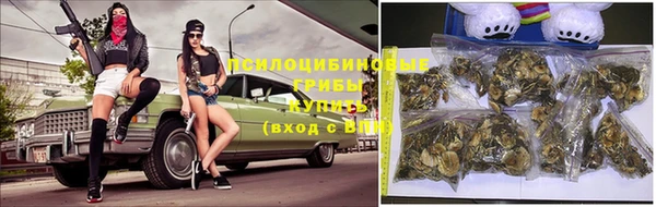 бошки Арсеньев